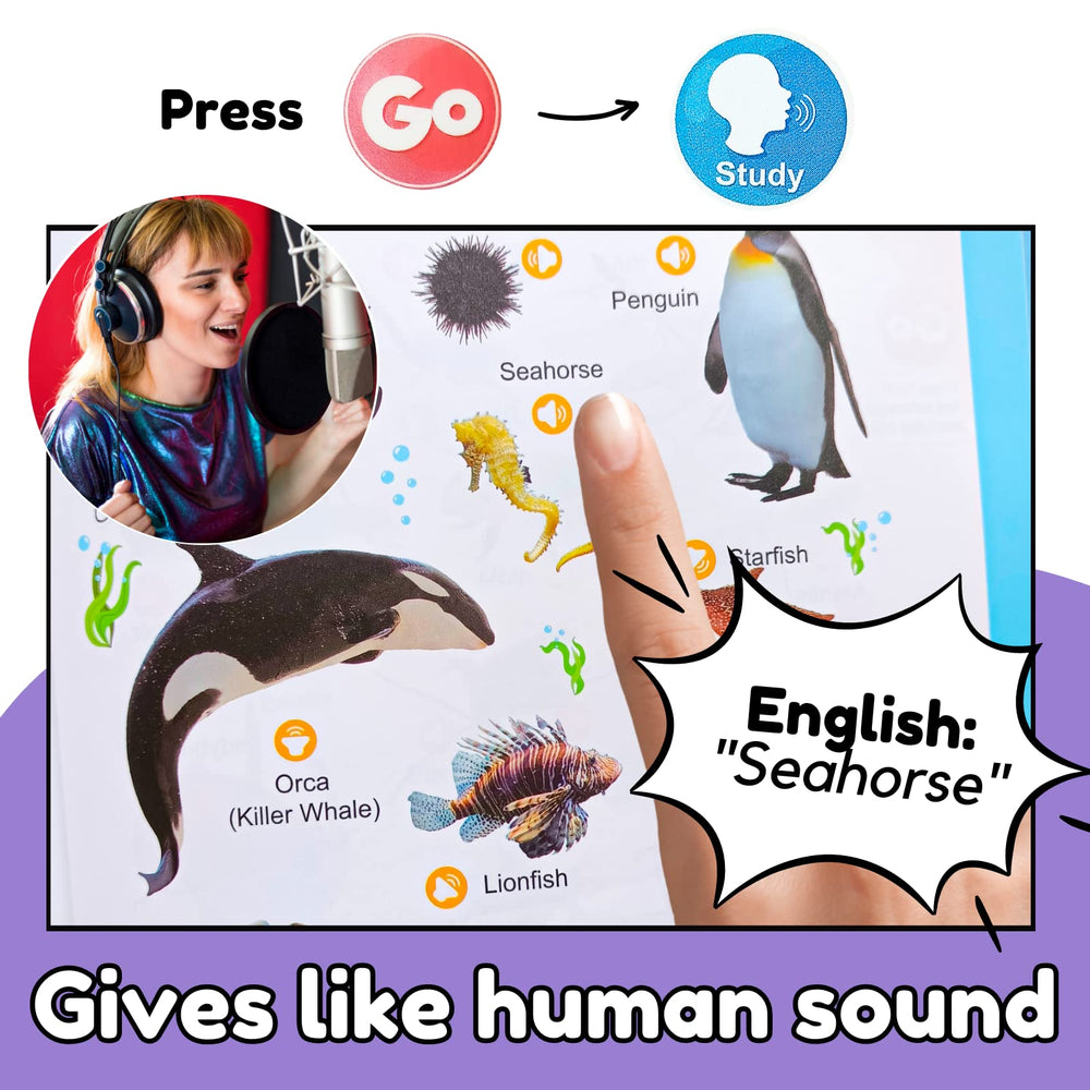 ZeenKind English Learning Talking Book quiz mode for independent word recall.