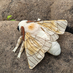 ZHONGXIN MADE silk moth toy fabric texture, ultra-soft crystal cotton feel.