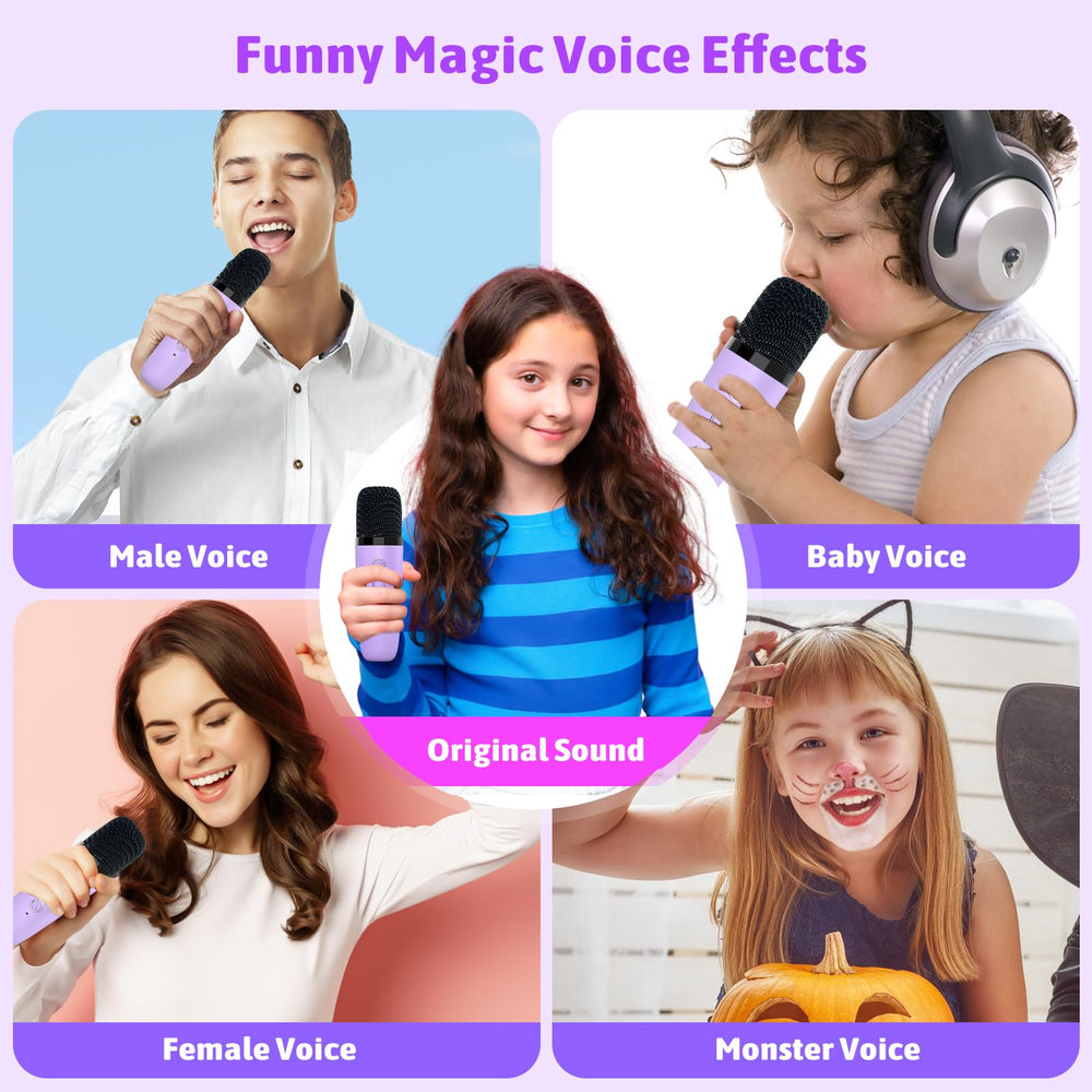 ZICOR portable karaoke unit with a sturdy handle for on-the-go use.