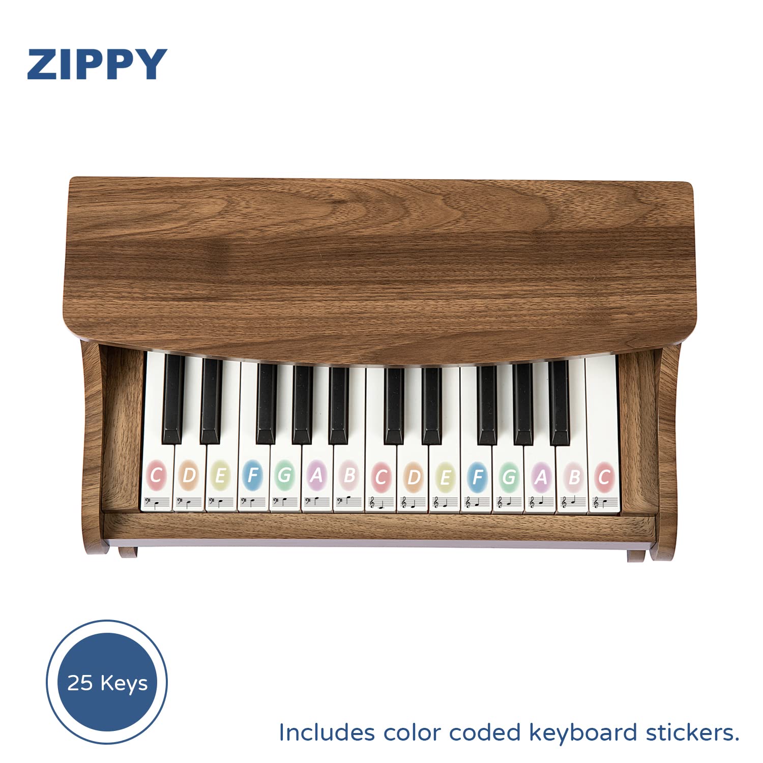 ZIPPY color-illustrated songbook included for guided practice.