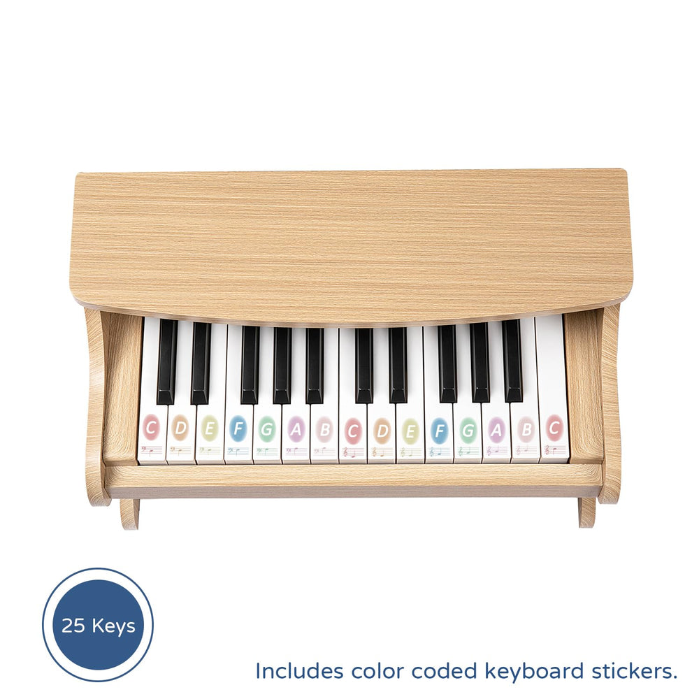 ZIPPY includes color-illustrated songbook to guide early music sessions.