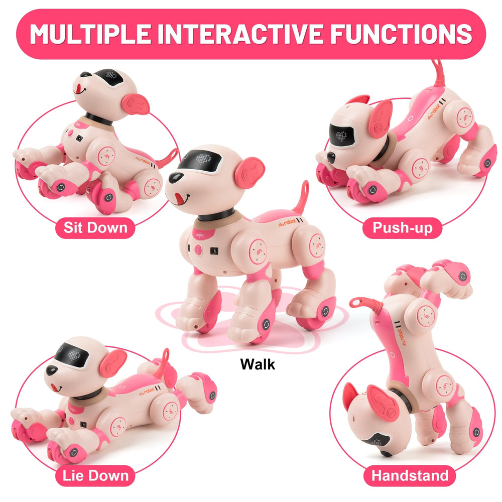 Zreswap programmable dog toy displaying up to 100 commands