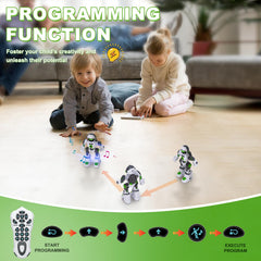 Zreswap robot toy voice effects offer playful character variation