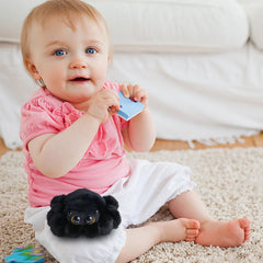 ZWLCWYBDBD 8.66-inch spider plush toy perfect for gifts and display.